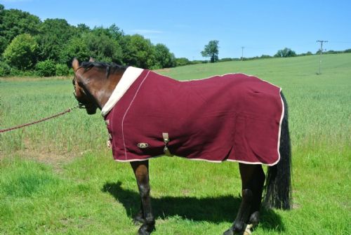 Ruggles Double Bonded Fleece - Maroon